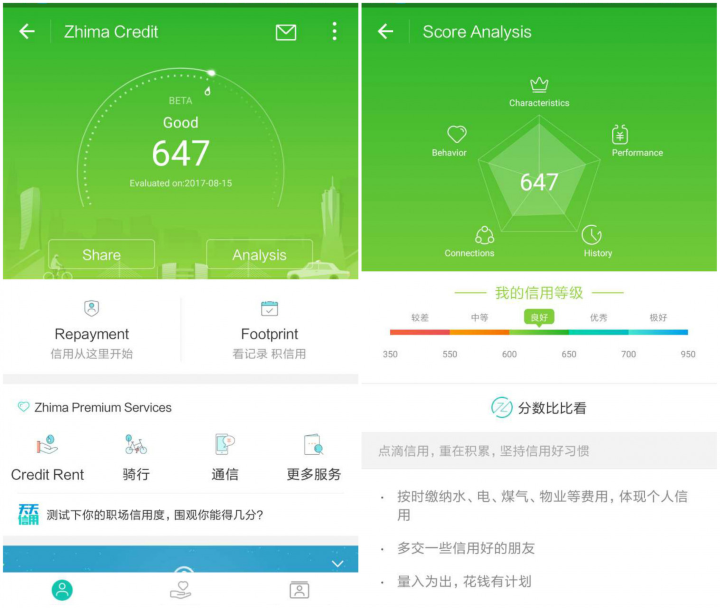 Screenshot of the Chinese social credit system